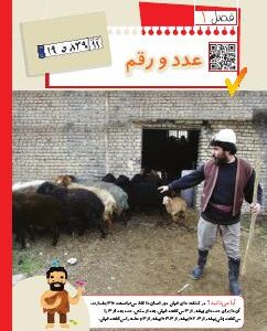 فصل اول: عدد و رقم