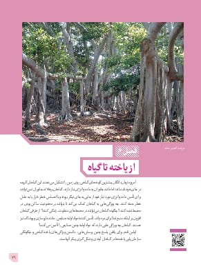 فصل 6: از یاخته تا گیاه