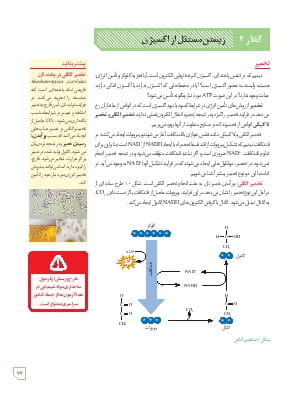 زیستن مستقل از اکسیژن