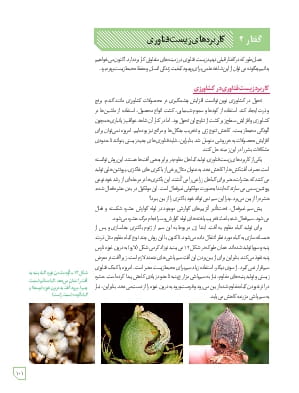 کاربردهای زیست فناوری