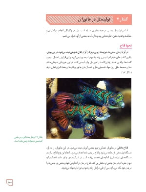 گفتار 4- تولید مثل در جانوران